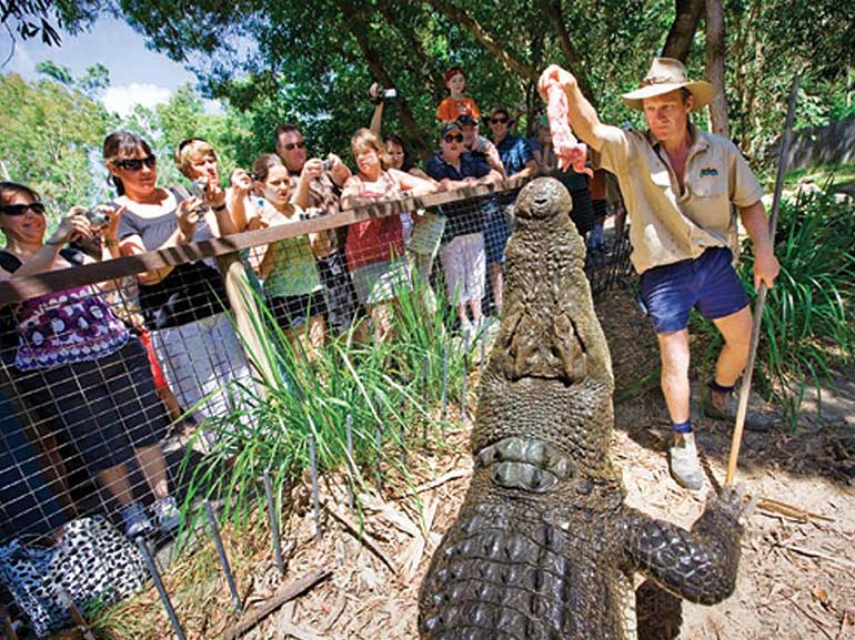 hartleys-crocodile-adventures