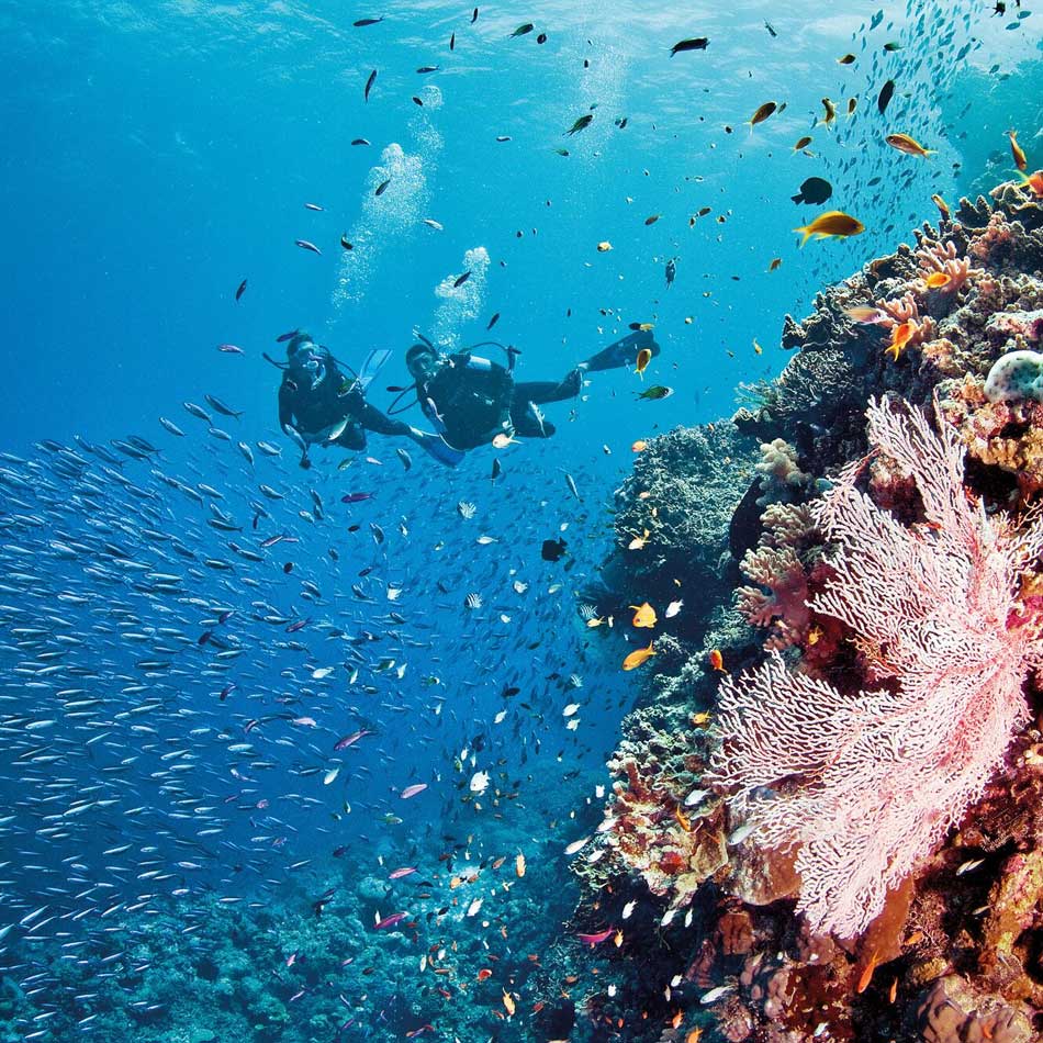 great-barrier-reef