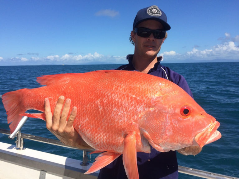 Top 8 Fishing Charters in Port Douglas Cayman Villas