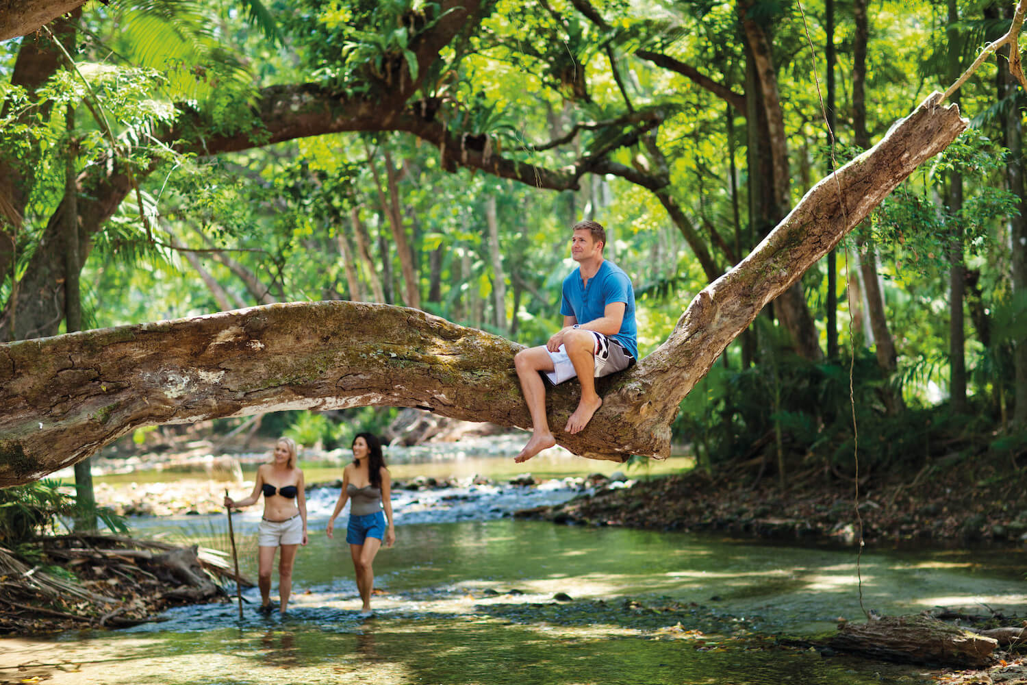 Daintree Rainforest Австралия