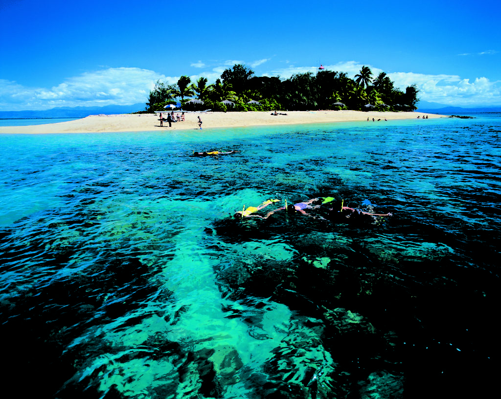 Snorkelers exploring vibrant coral reefs in clear waters near a sandy beach and lush island, showcasing the tropical beauty of the Cairns and Port Douglas region.