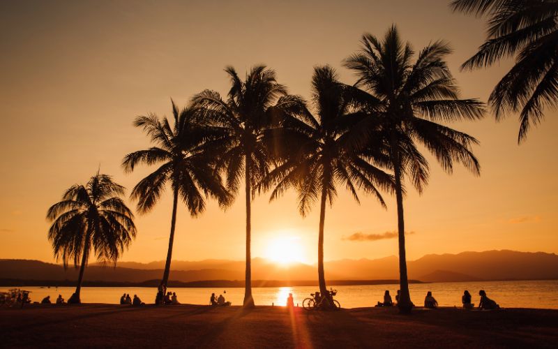 Sunset at Rex Smeal Park in Port Douglas with silhouetted palm trees, people relaxing along the waterfront, and golden light reflecting across the calm ocean.