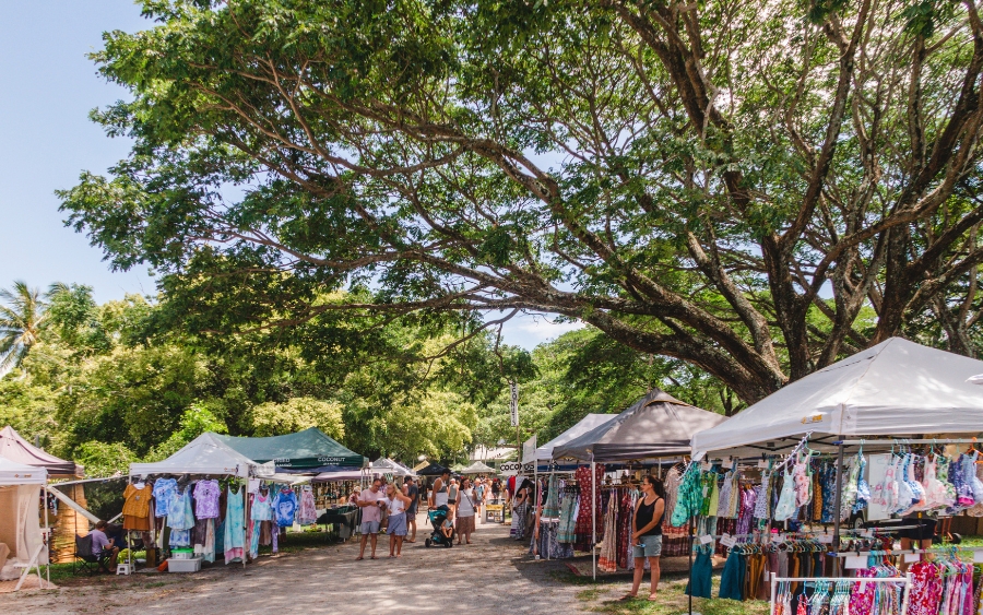 Visitors browsing stalls at the Port Douglas Sunday Markets beneath large shady trees, with colourful clothing, local goods, and market tents lining the tropical outdoor setting.