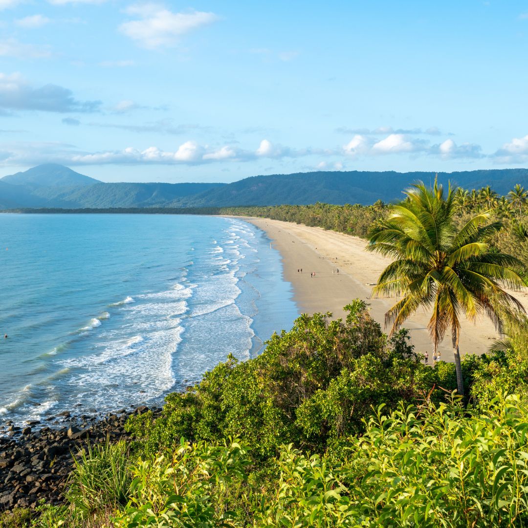 Sweeping view of Four Mile Beach in Port Douglas with golden sand, turquoise ocean waters, and tropical palm trees along the coastline.