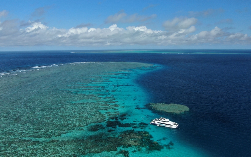 Silversonic cruise vessel exploring the Great Barrier Reef near Port Douglas, offering unforgettable whale watching, snorkelling and reef experiences during the whale season.