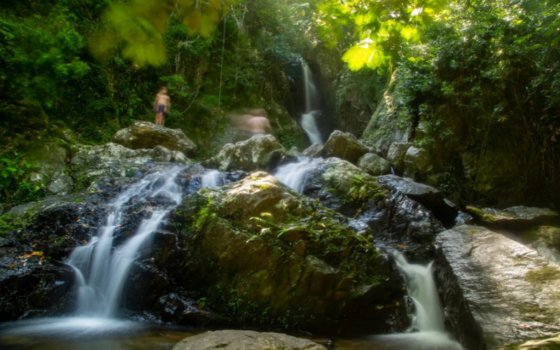 Fairy Falls cascading through moss-covered boulders and lush tropical rainforest near Cairns in Tropical North Queensland.