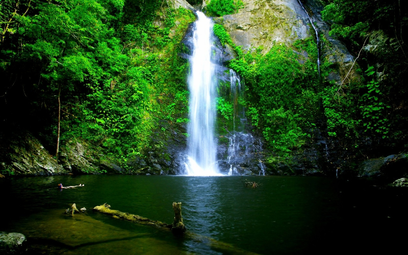 Cassowary Falls flowing into a secluded rainforest swimming hole surrounded by lush tropical vegetation.