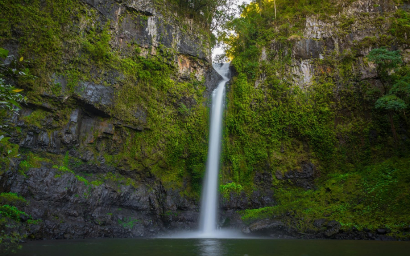 Nandroya Falls plunging down a tall rainforest-covered cliff into a natural pool in Wooroonooran National Park