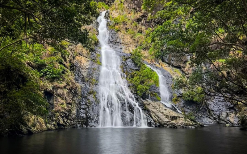 Hartley’s Creek Falls cascading down a rocky escarpment into a natural swimming hole surrounded by tropical vegetation near Port Douglas.