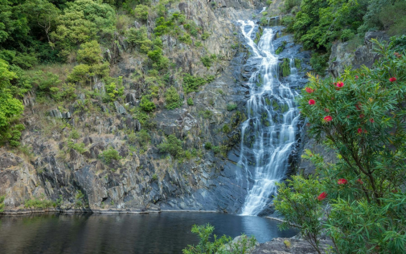 Spring Creek Falls cascading down a rocky rainforest escarpment into a natural swimming hole near Port Douglas.