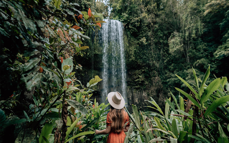 Visitor overlooking a rainforest waterfall along the Waterfall Circuit in the Atherton Tablelands, Tropical North Queensland.