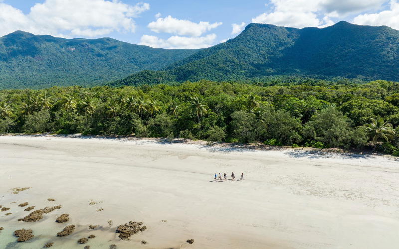 Aerial view of Cape Tribulation Beach in the Daintree Rainforest, showing visitors walking along the sandy coastline backed by tropical rainforest and mountains.