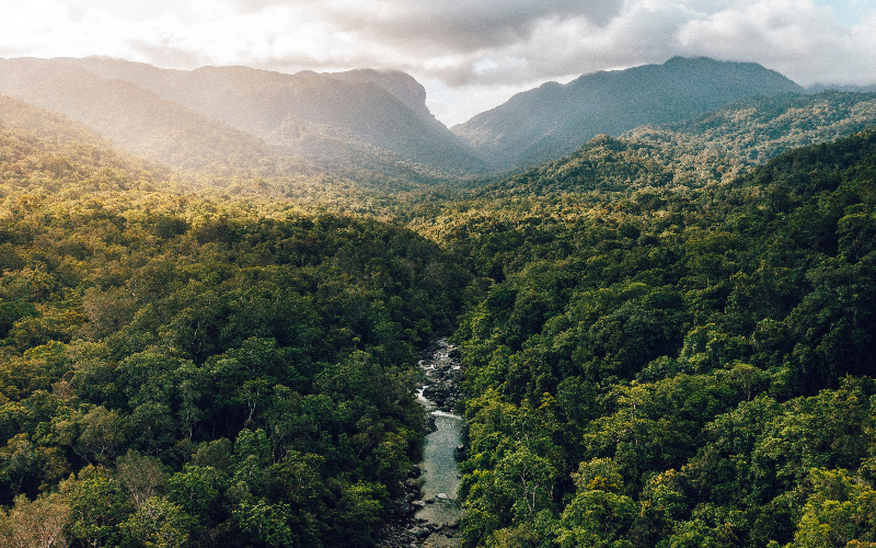 Aerial view of the Daintree Rainforest in Far North Queensland, featuring a winding river flowing through dense tropical greenery, with forest-covered mountains and low clouds in the distance.